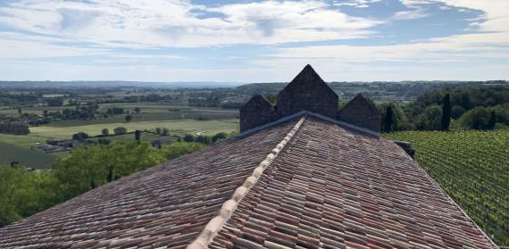 ST-PEY_IMG_4553.jpg